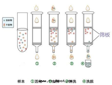 鼎泰恒勝全(quán)自(zì)動(dòng)固相萃取(qǔ)儀原理(lǐ)及(jí)特(tè)點(diǎn)