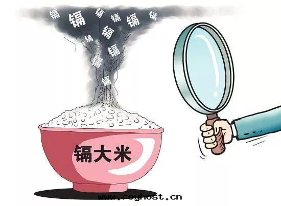 全(quán)自(zì)動(dòng)石(dàn)墨(mò)消解(jiě)儀助力大(dà)米(mǐ)重(zhòng)金(jīn)属檢測